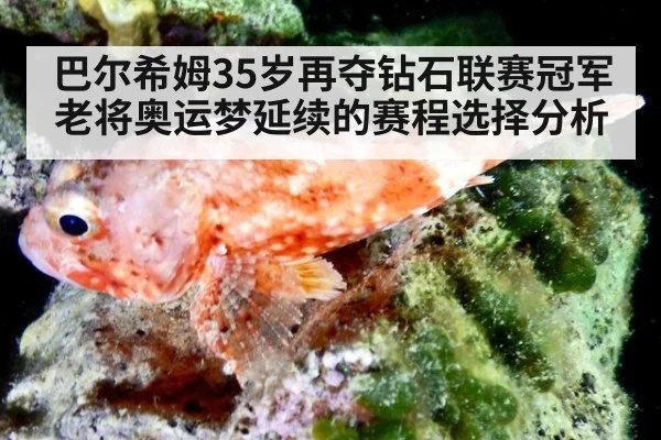 巴尔希姆35岁再夺钻石联赛冠军 老将奥运梦延续的赛程选择分析